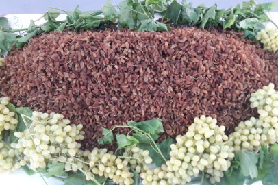 İzmir'de Çekirdeksiz Kuru Üzüm İhracatında Başarı