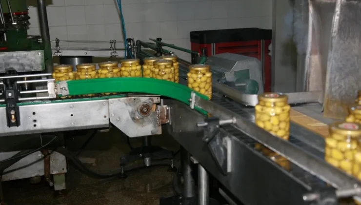 İzmir’den ABD Pazarına Güçlü Bir Çıkış: Zeytin ve Zeytinyağı İhracatı