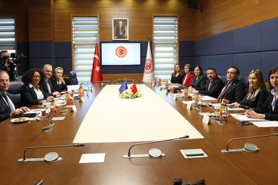 Türkiye-AB Karma Parlamento Komisyonu Toplantısı Gerçekleşti