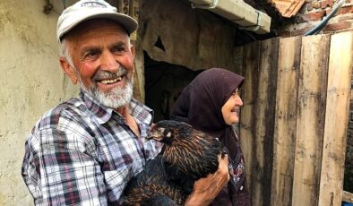 Üreticiye yüzde 50 hibeli yumurta tavuğu desteği