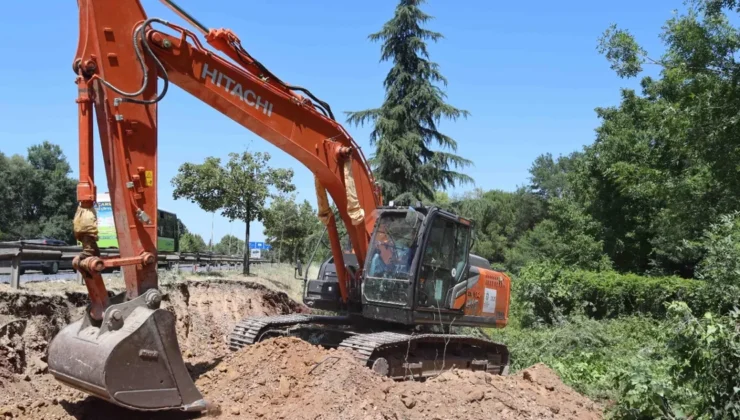 Kocaeli’de sökülen ağaçlar geleceğe taşınıyor