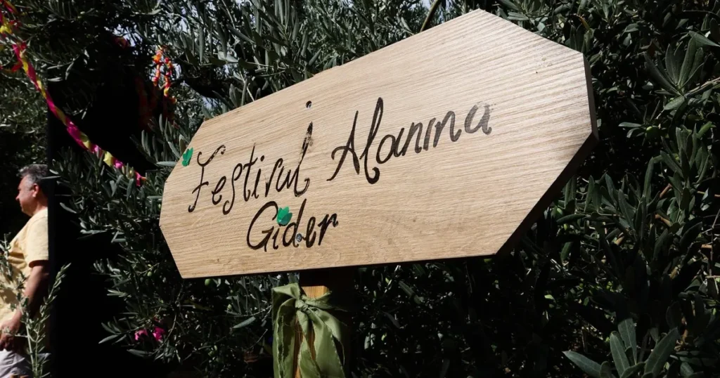 Bursa Gemlik Zeytini’nde uluslararası coşku