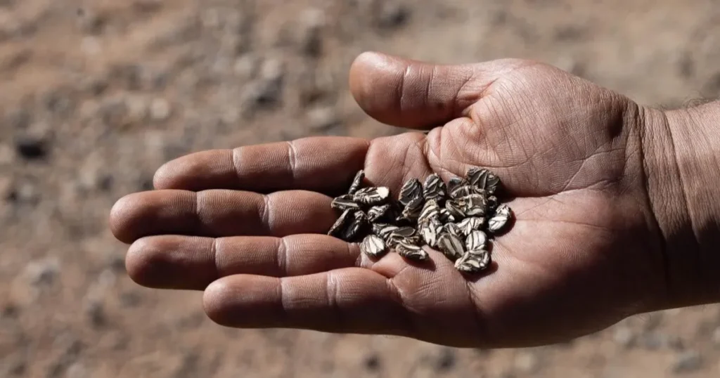 İzmir’de eller toprakla buluştu