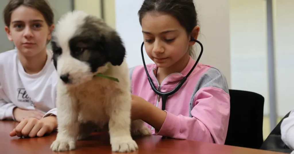 Bursa’da Minik Veterinerler Görev Başında