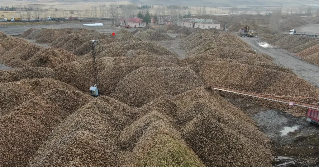 Sukkar Şeker 2025’te Üretim Hacmini Güçlendirdi