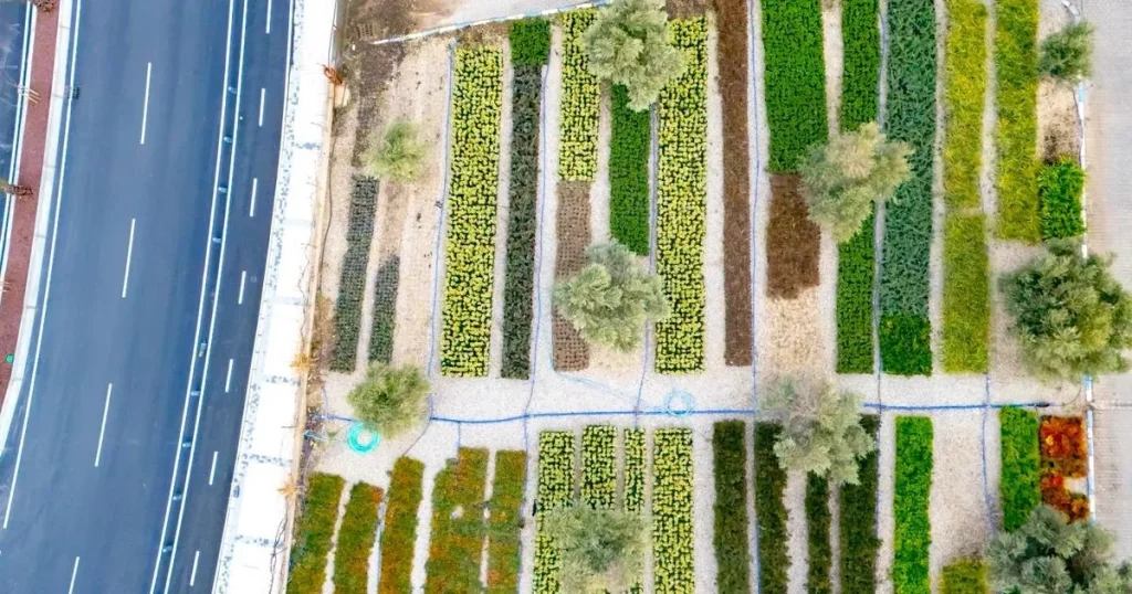 İzmir’in Renkleri Büyükşehir Fidanlıklarında Filizleniyor