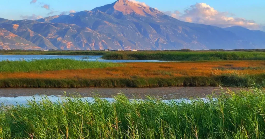 Milleyha Doğa Gözlem Merkezi Üç Gün Sürecek “Doğa Buluşması” ile Kapılarını Açıyor