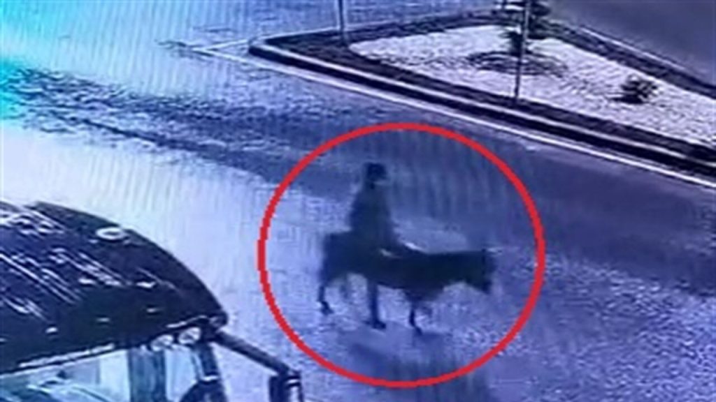 Forkliftle kuyumcu soyup eşekle kaçtı