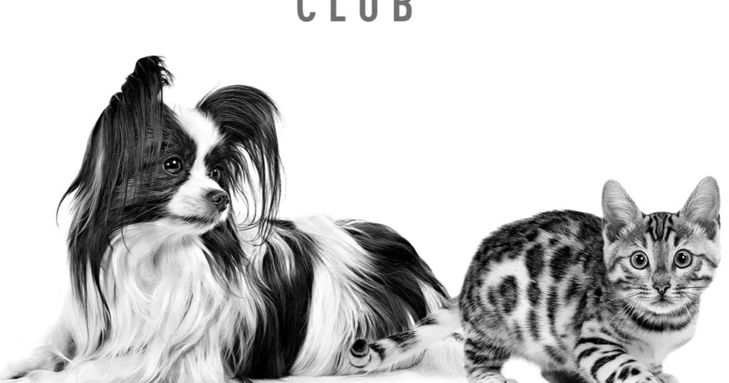 Kediler ve Köpekler İçin Sağlıklı Beslenme ve Ayrıcalıklar Tek Çatı Altında