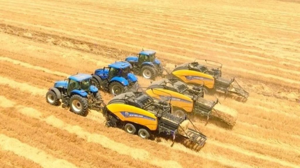 Tarım-ÜFE aylık yüzde 8.46 yıllık yüzde 43,58 arttı