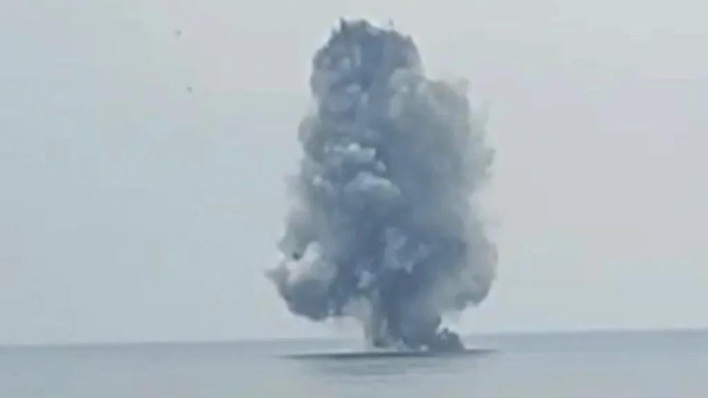 Ordu Valiliğinden imha edilen İHA açıklaması