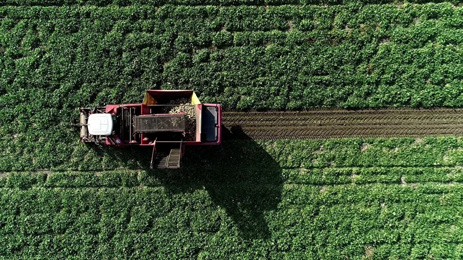 Türk şirketi Batı Afrika’da tarım üssü kuruyor