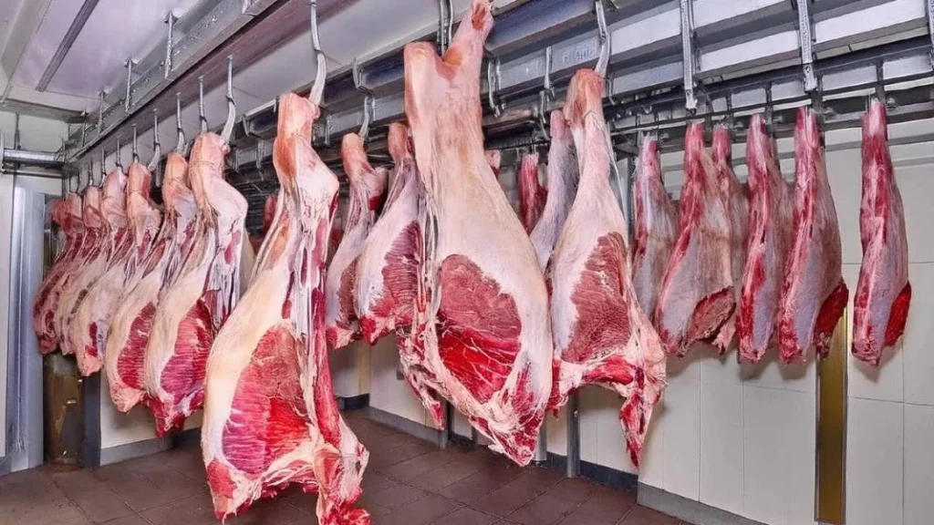 Dana ve kuzu karkas fiyatları belli oldu: En ucuz bölge sürpriz oldu