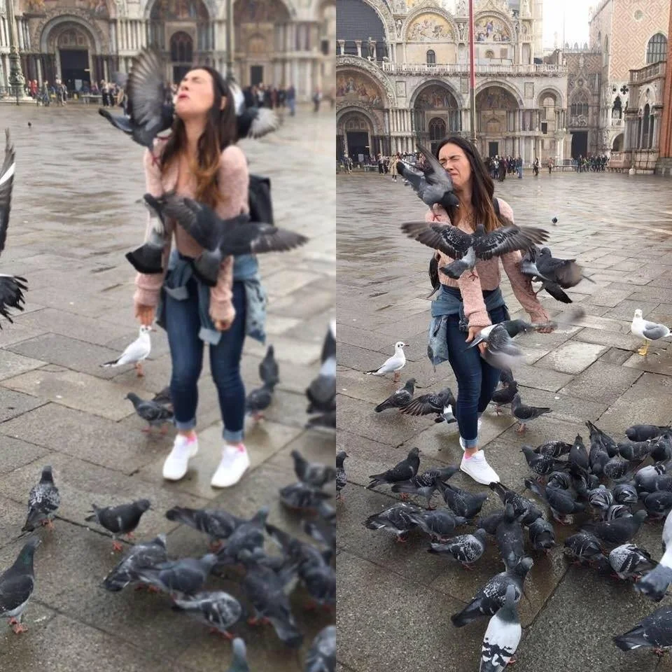 Şehir kuşları en çok kadınlardan kaçıyor