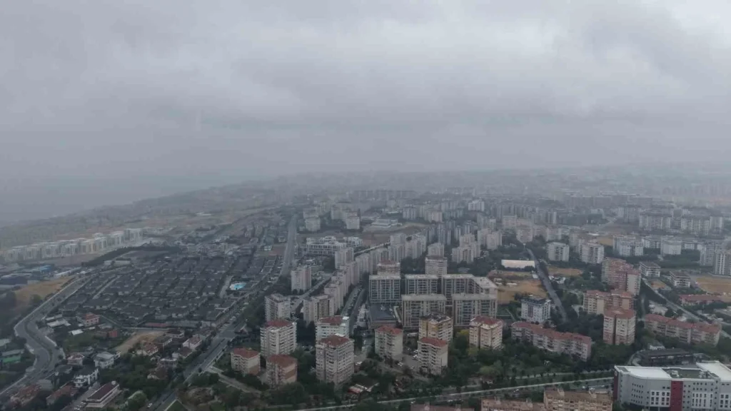 Beylikdüzü semalarında göç başladı! Yüzlercesi görüntülendi