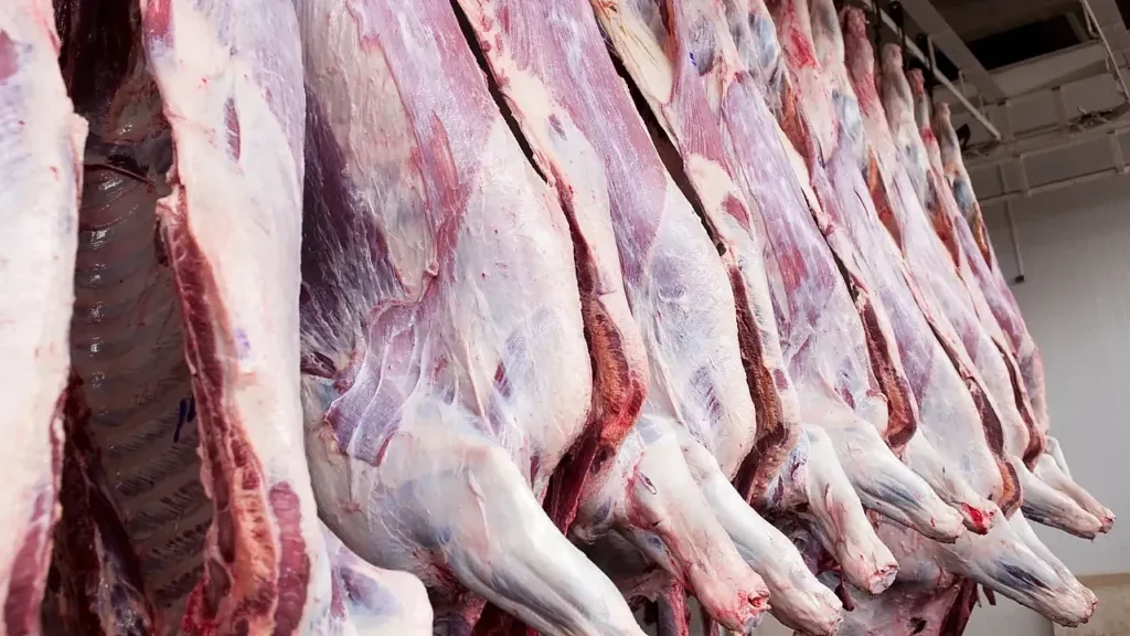 Karkas et kesim fiyatı piyasada 650 TL’ye dayandı!