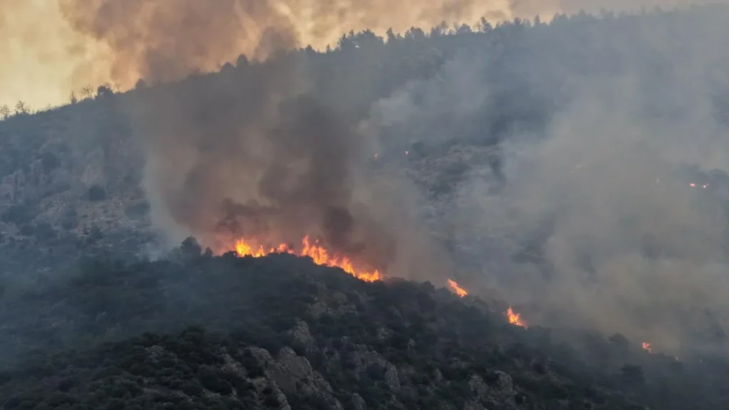 Manisa Kula’da orman yangını! 2 uçak ve 3 helikopter sevk edildi
