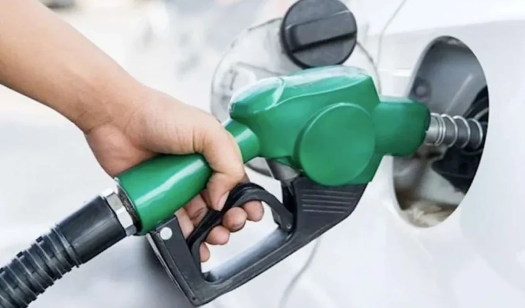 Mazota indirim geldi! İstanbul’da fiyat 80 TL’ye geriledi