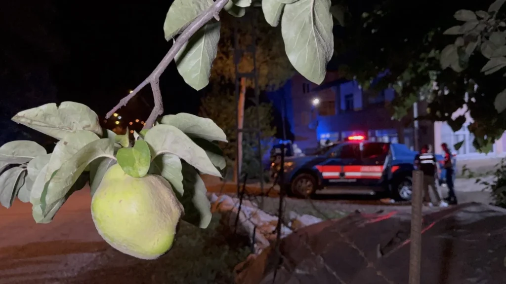 Samsun’da ayva ağacı kavgası kanlı bitti! Yeğen amcasını vurdu